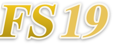 fs19